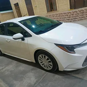 Toyota Corolla 2021
