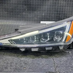 ELANTRA 19-20 FARA CHEP TARAP