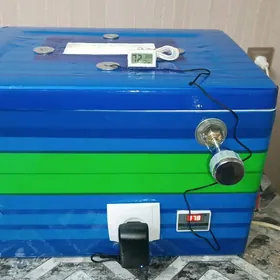 инкубатор inkubator