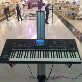 KORG PA3X