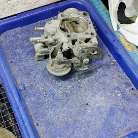 lisicga babycgan zaslonkosy