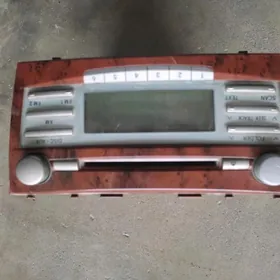 öküzkelle magnitafon