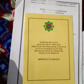 Mellek yer tamozny yol