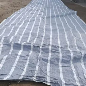 Палата чадыр