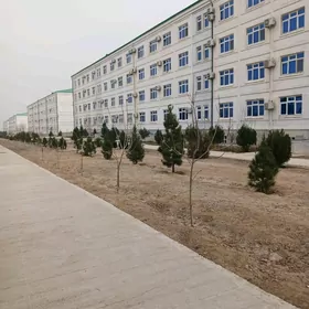 Jemagat instutyn yany Buzmeyin