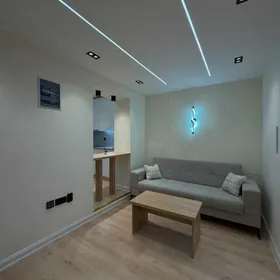 Центр 2 комнаты 1 этаж