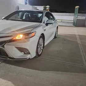 Toyota Camry 2019