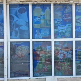 пластик айна