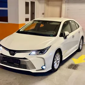 Toyota Corolla 2020