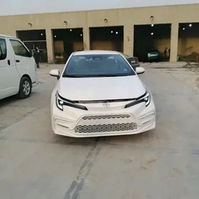 Toyota Corolla 2024