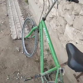 turkmenistan welsepet wl