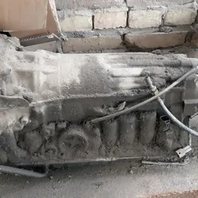 Mark Karopka Awtomat