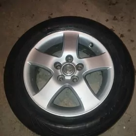 duty kemri radnoy diska