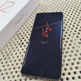 xiaomi 12x