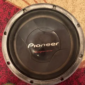 pioneer bocka 1000