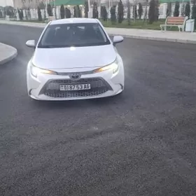 Toyota Corolla 2020