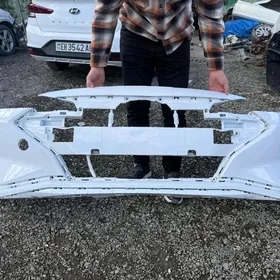 Elantra 19-20 model pamper