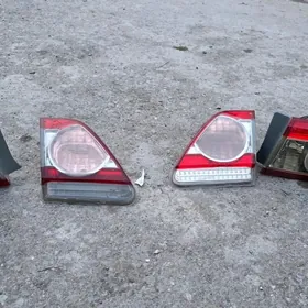 carolla haliji fara 11