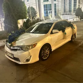 Toyota Camry 2013
