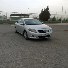 Toyota Corolla 2010