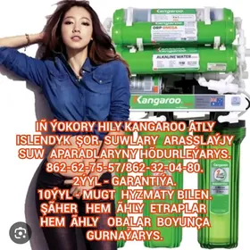 Iñ ýokory hily suw aparatlar