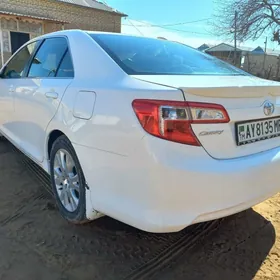 Toyota Camry 2013