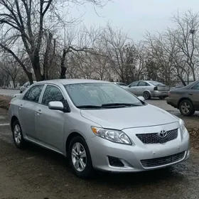 Toyota Corolla 2010