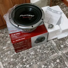 Pioneer bocka