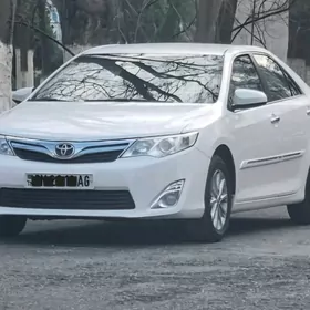 Toyota Camry 2013