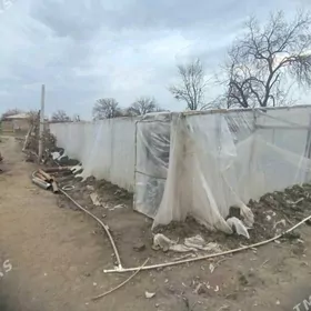 Satlyk Parnik Demirden