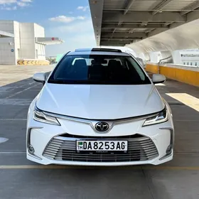 Toyota Corolla 2023