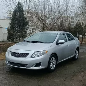 Toyota Corolla 2010