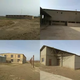 ÖNÜMÇILIK FERMA UÇIN ÝER