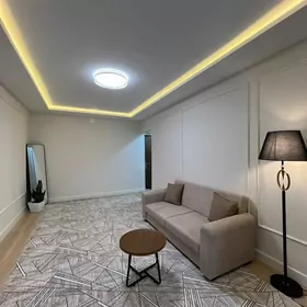 1 komn 11 mkr 42m2 Remontly