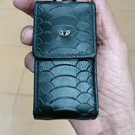 Täze Tergan açar salynýan