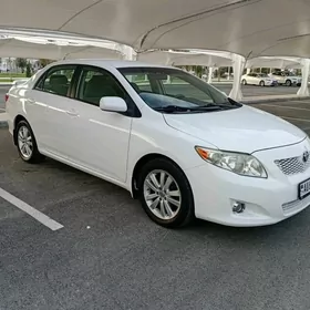 Toyota Corolla 2010