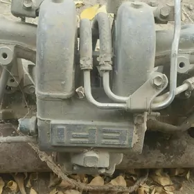 Galowka 2 lik Hoace 1991