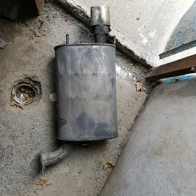 Palta yzky Guluşitel