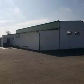 Satlyk Anewde 39-Yyllyk Dowlet