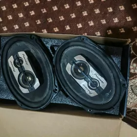 piýner kaloňka nikil