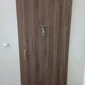 giris gapysy giris gapysy