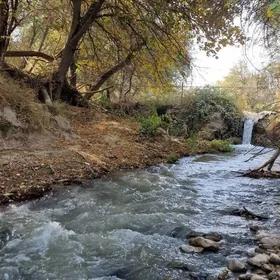 Satlyk  Gokdepe Daca  33-Sotak