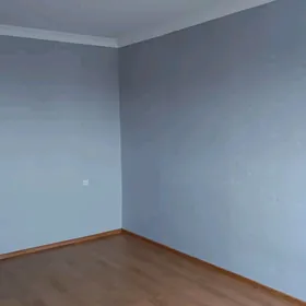 satlyk elitka 3 mikrayon