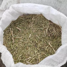 Yandak uwelen mal iym