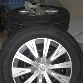 gara diska pakryşka