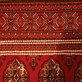 Жемчуг обычный