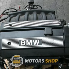 2,8 gosa wanus mator