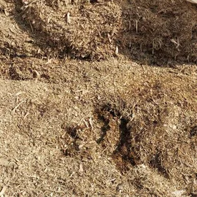 mekge   ýorunja  saman  bede