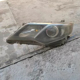 palta kemri cep cyra