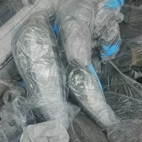 Duty camry haliji on fara